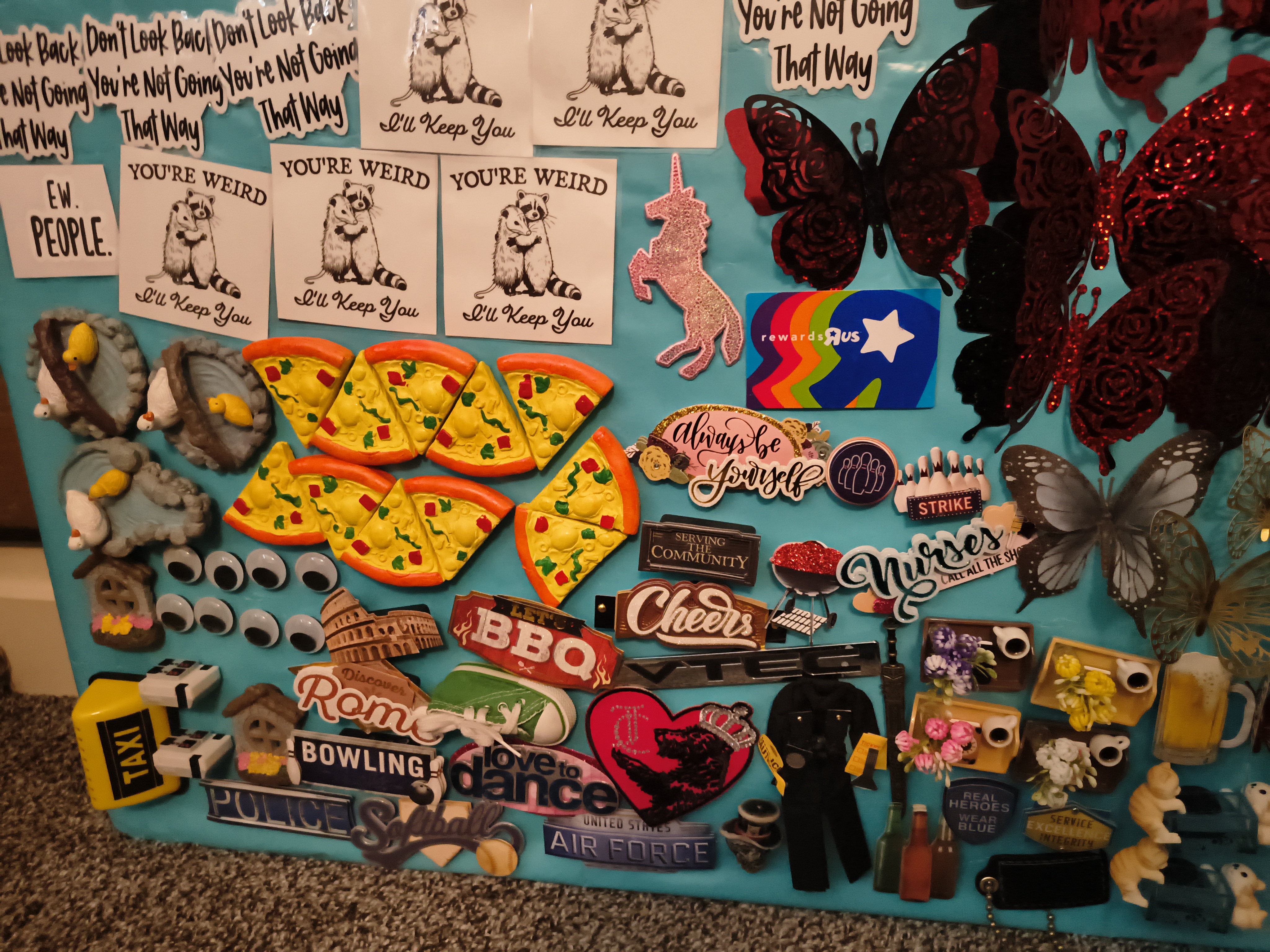 Butterfly and novelty magnets on teal